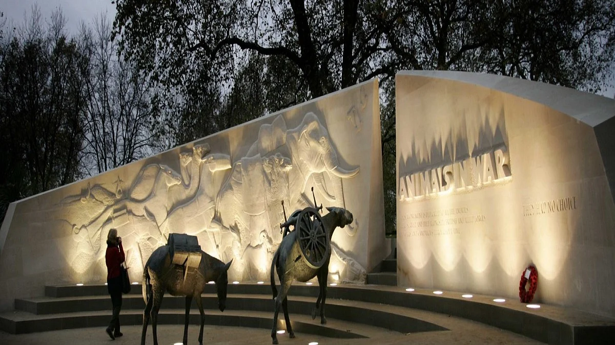 Meerut to have war memorial for animals