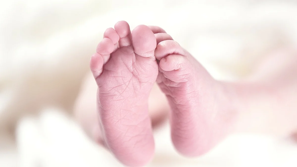 Baby mauled to death by dog inside operation theatre in UP