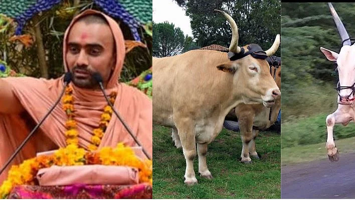 Men run the risk of being reborn as bullocks and educated women of getting divorced