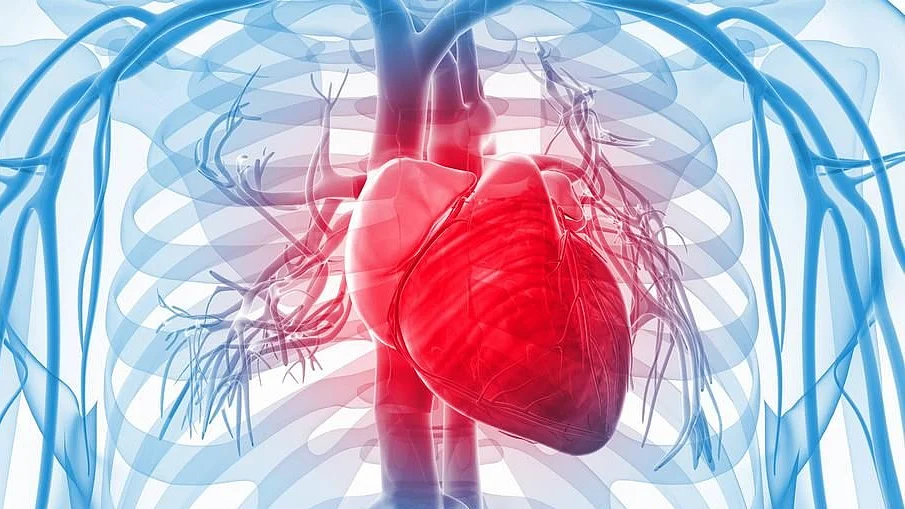 Risk of heart disease due to irregular sleeping habits: Study