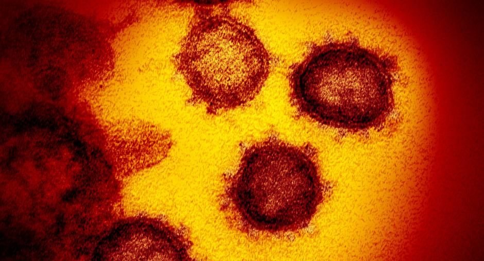 7 family members of man who tested positive for coronavirus home quarantined in Delhi