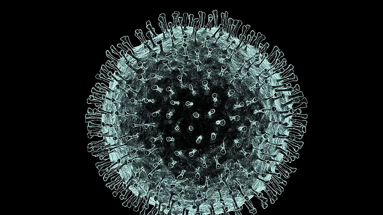 Photo courtesy- social media