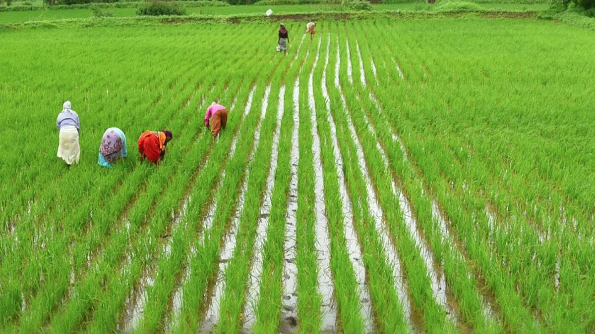These economic activities to begin from Monday