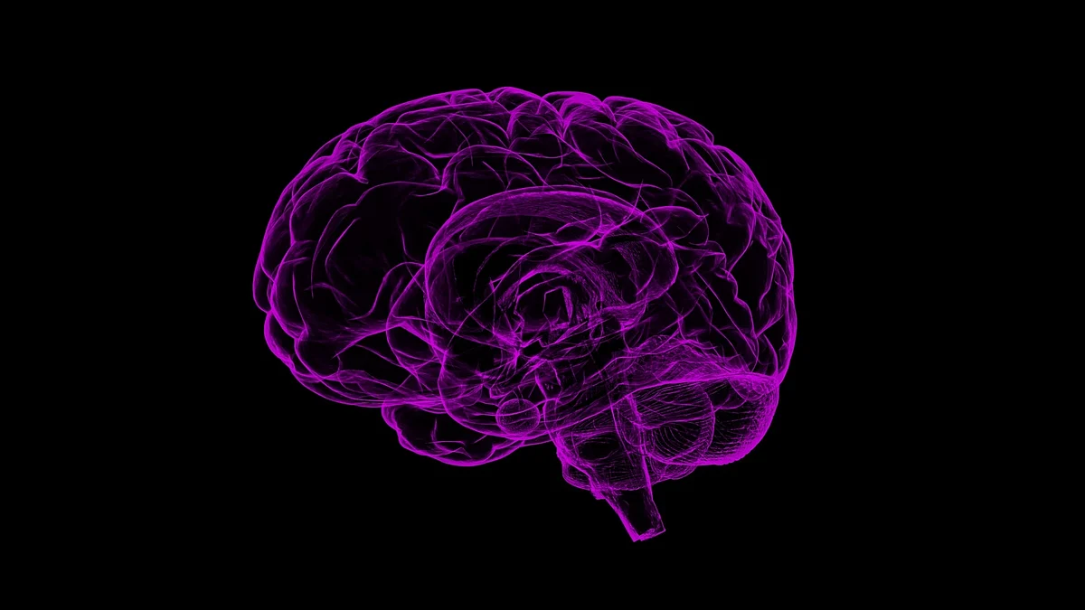 New tool helps predict risk of death in people with dementia