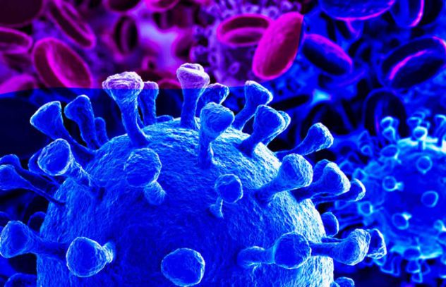 Researchers develop molecule for potential COVID-19 drug in India