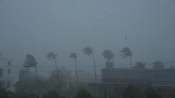 Cyclone Amphan of 2020 resulted in USD 14 bn economic losses in India: UN report