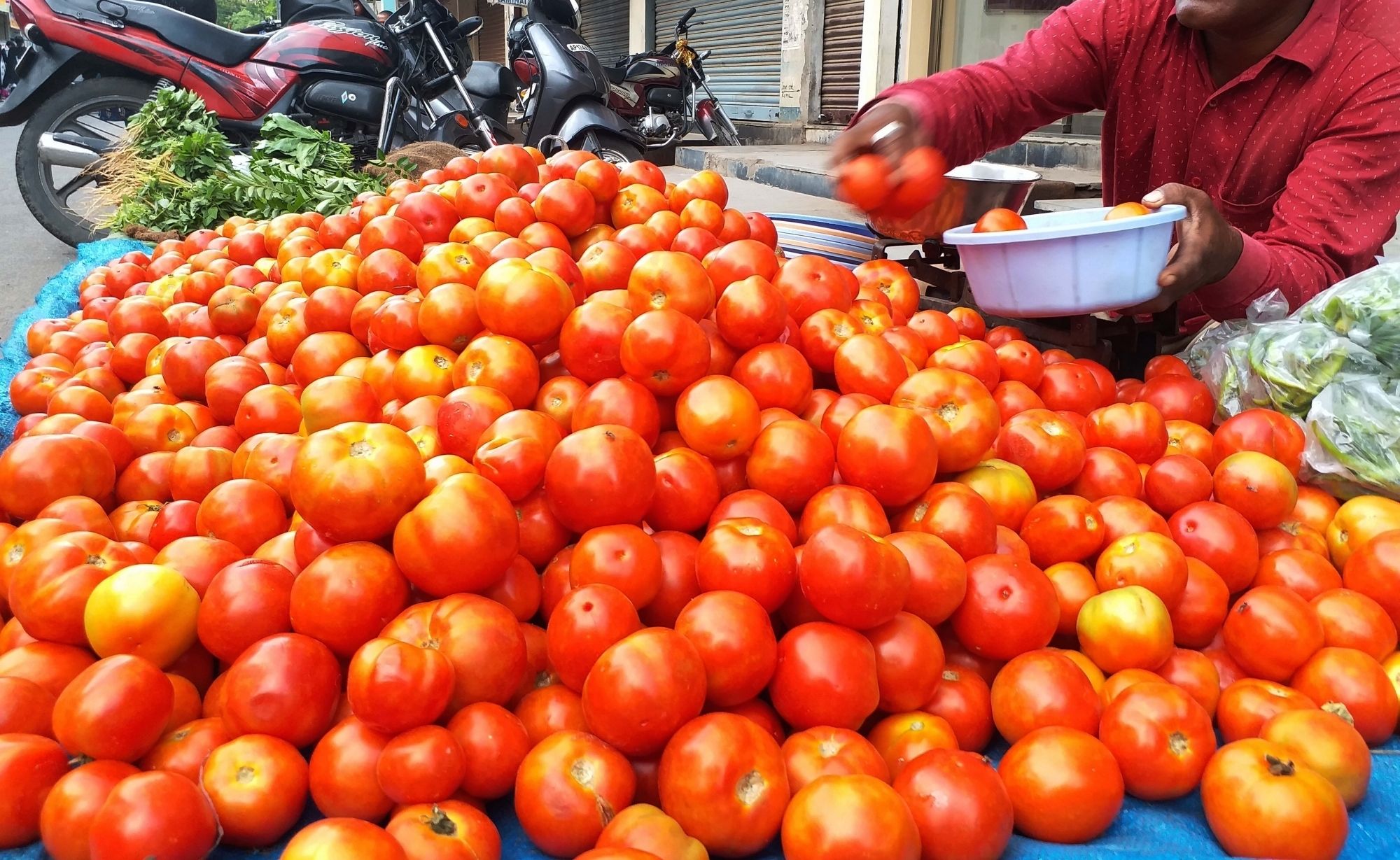 Tomato prices shoot up from Rs 10 to Rs 60 in Bengaluru