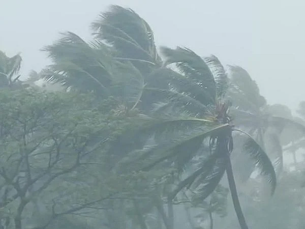 Heavy rain and strong winds in West Bengal (Photo Courtesy: Twitter)