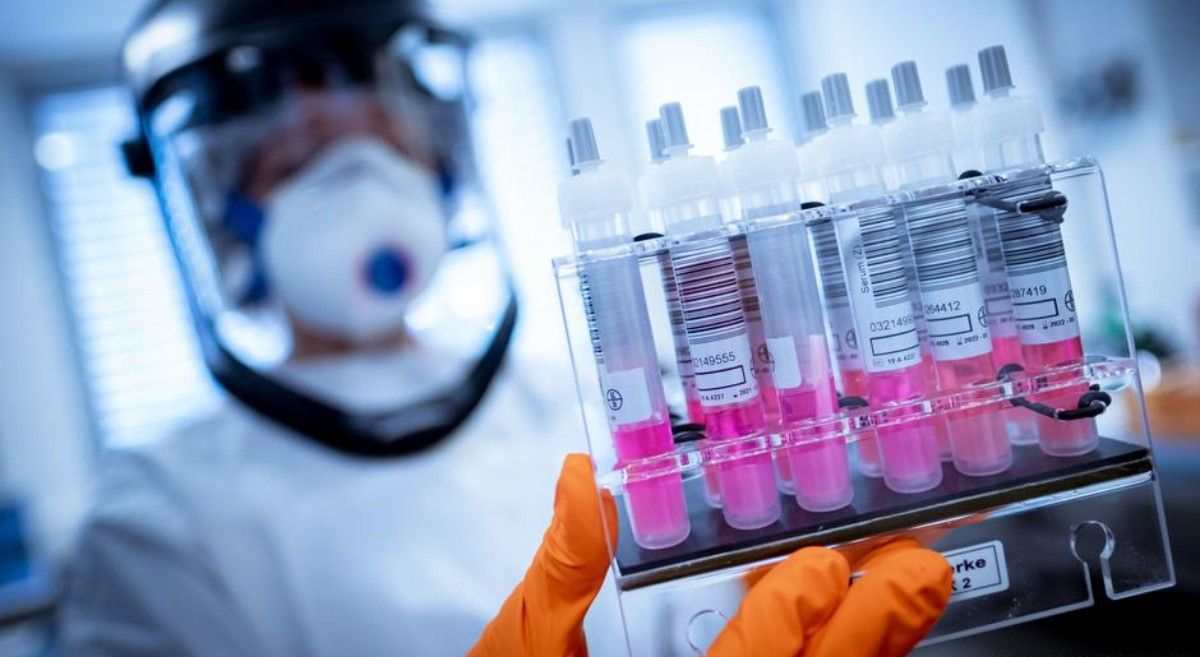 SARS antibody found to neutralise COVID-19 virus