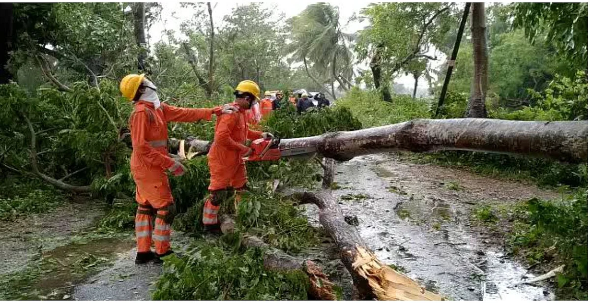 Trees uprooted during heavy storm in Puri, Odisha (Photo Courtesy: Twitter)
