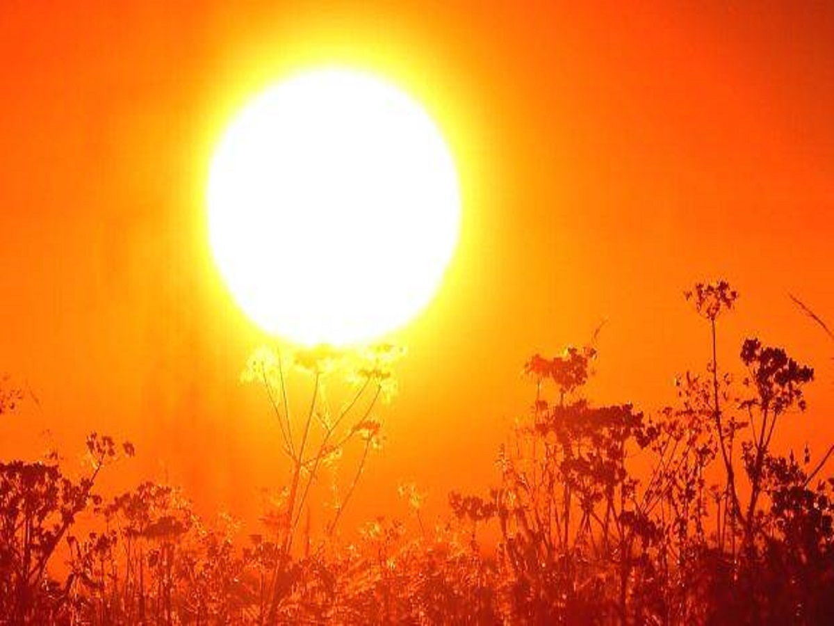 Watch out as heatwave to peak on Tuesday: IMD