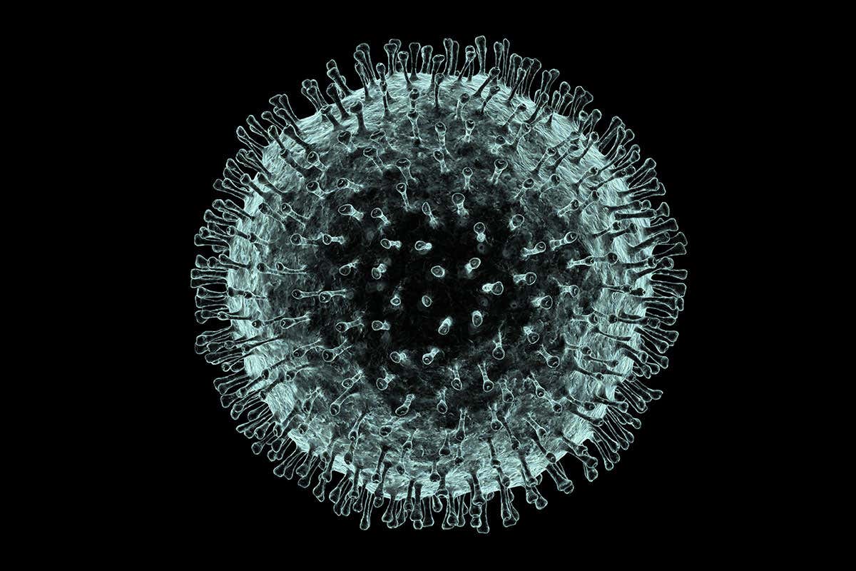 Community transmission of coronavirus infection well-established: experts