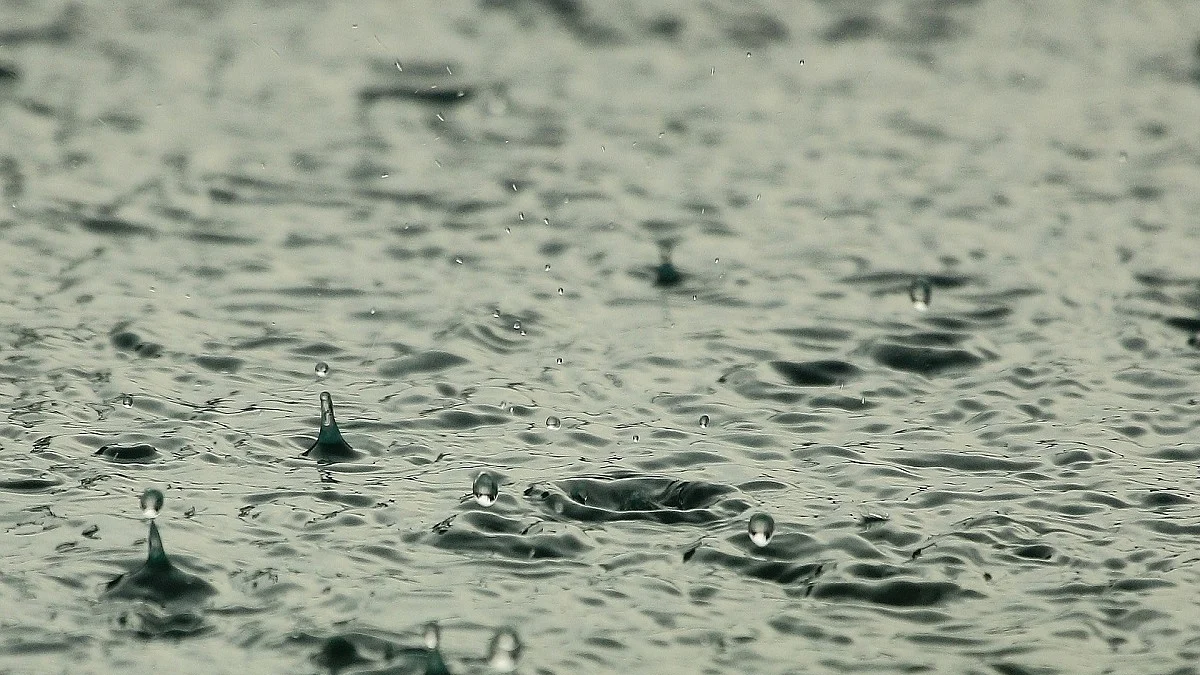 Monsoon covers entire country: IMD