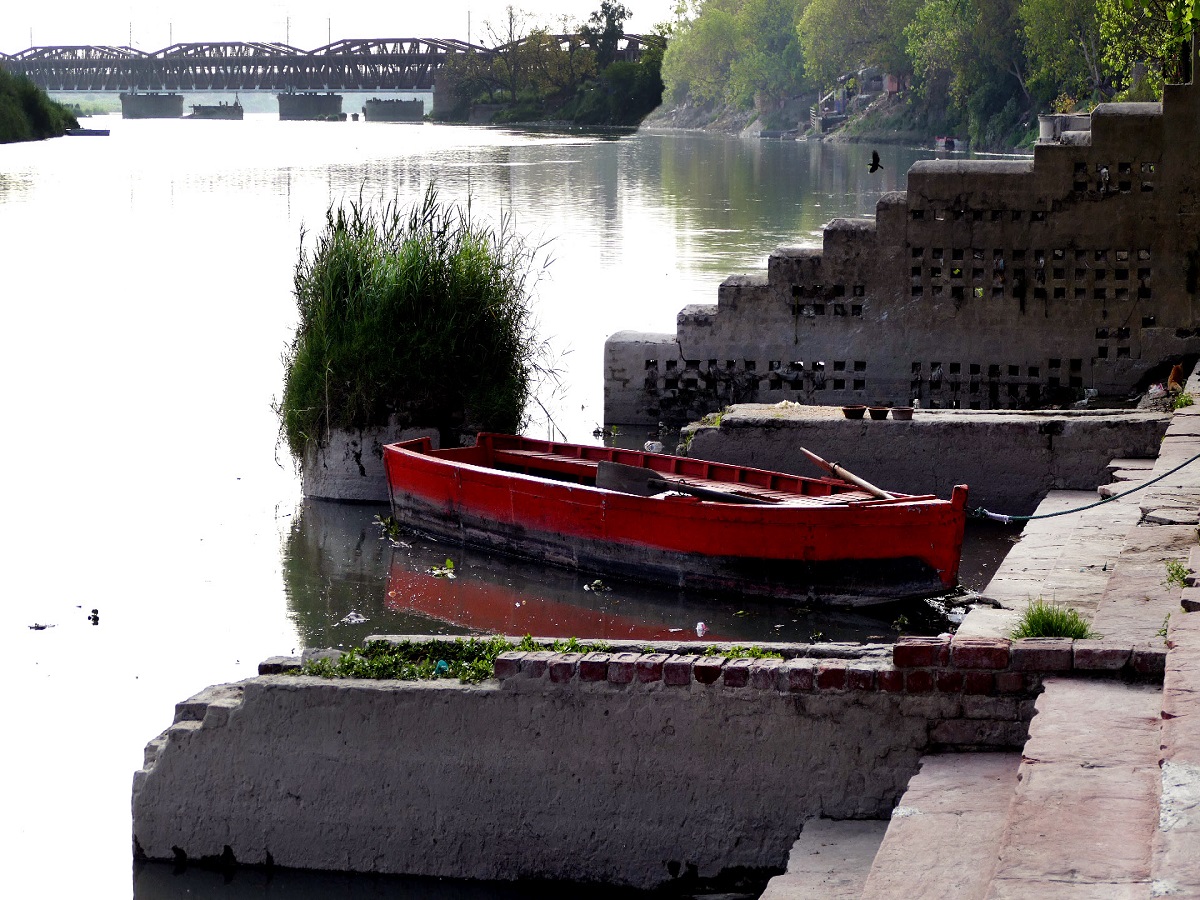 In pictures: World Environment Day