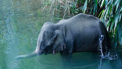 Well Calculated And Organised Killing Racket Pil In Sc Seeks Cbi