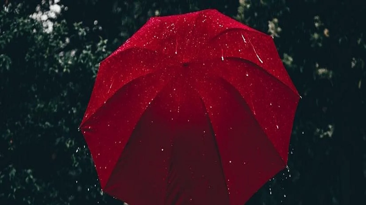 IMD declares monsoon onset over Delhi