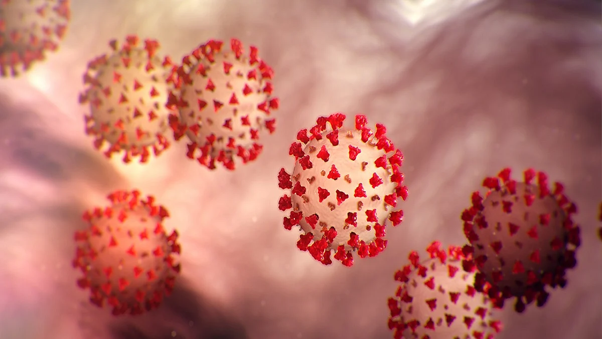 Scientists identify six distinct clusters of COVID-19 symptoms in patients