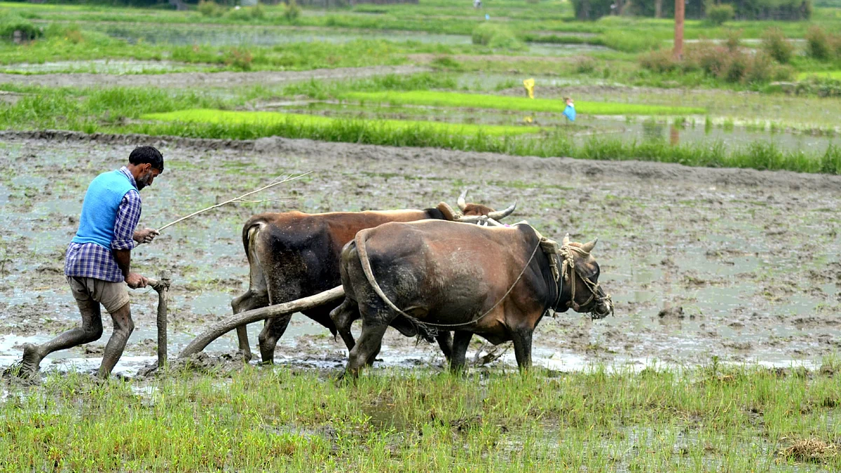 Karnataka allows all to buy, own farmland