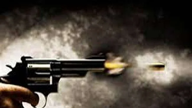 How a fight over custody of a 4-yr-old girl led to a shooting in Delhi