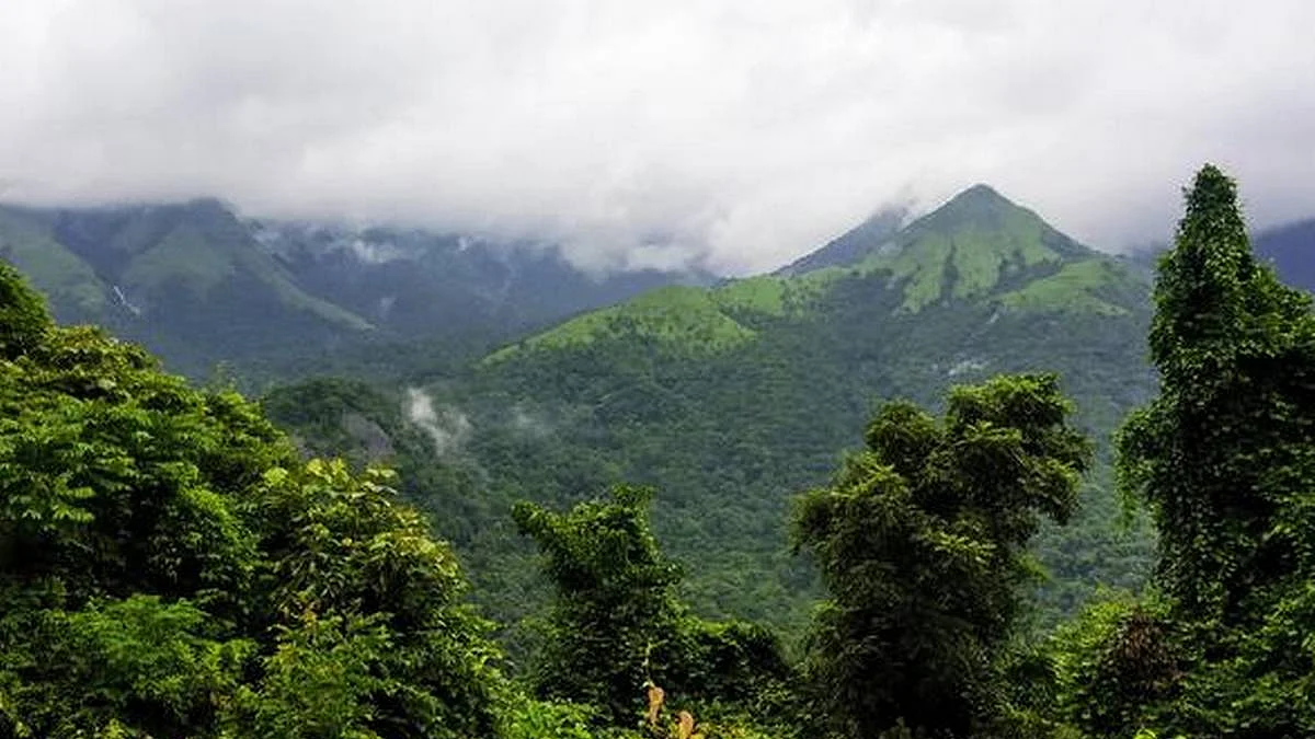 Scrap environment impact assessment draft: Green activists
