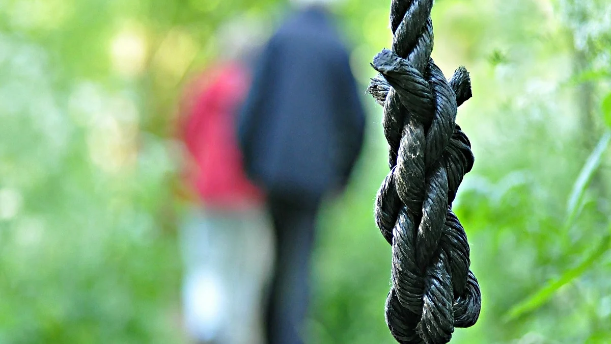 Lawyer found hanging from tree in UP district