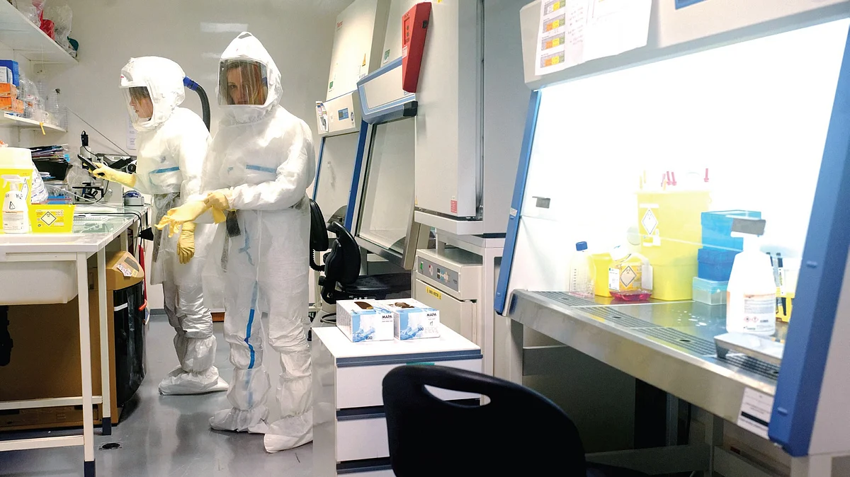  Researchers working on a COVID-19 vaccine 