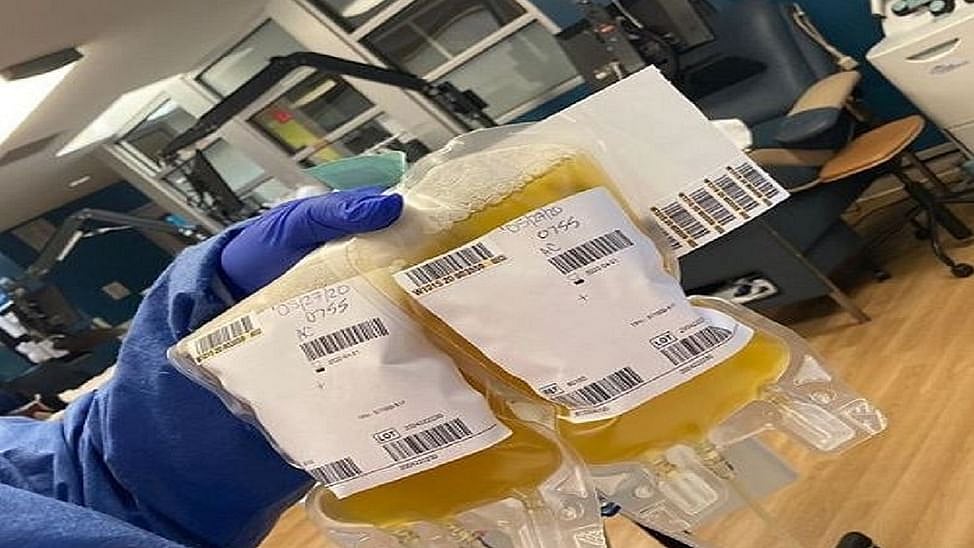 Bengaluru Plasma Donor Plays Saviour Saves Six Lives We provides catering services for corporate, event, office, institutional catering & packed gupta caterers is one of the best caterers in delhi, gurugram/gurgaon, noida and ghaziabad delivering catering service in delhi ncr since 2002.