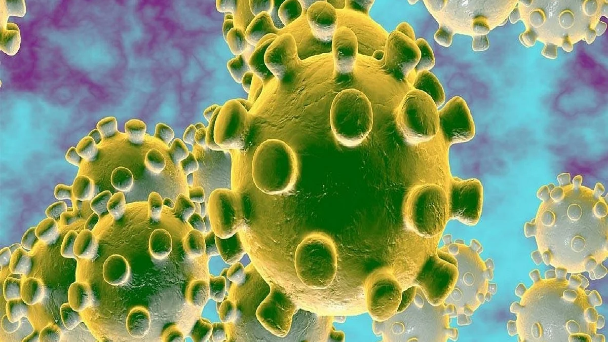Even mild COVID-19 cases may provide lasting immunity: Study
