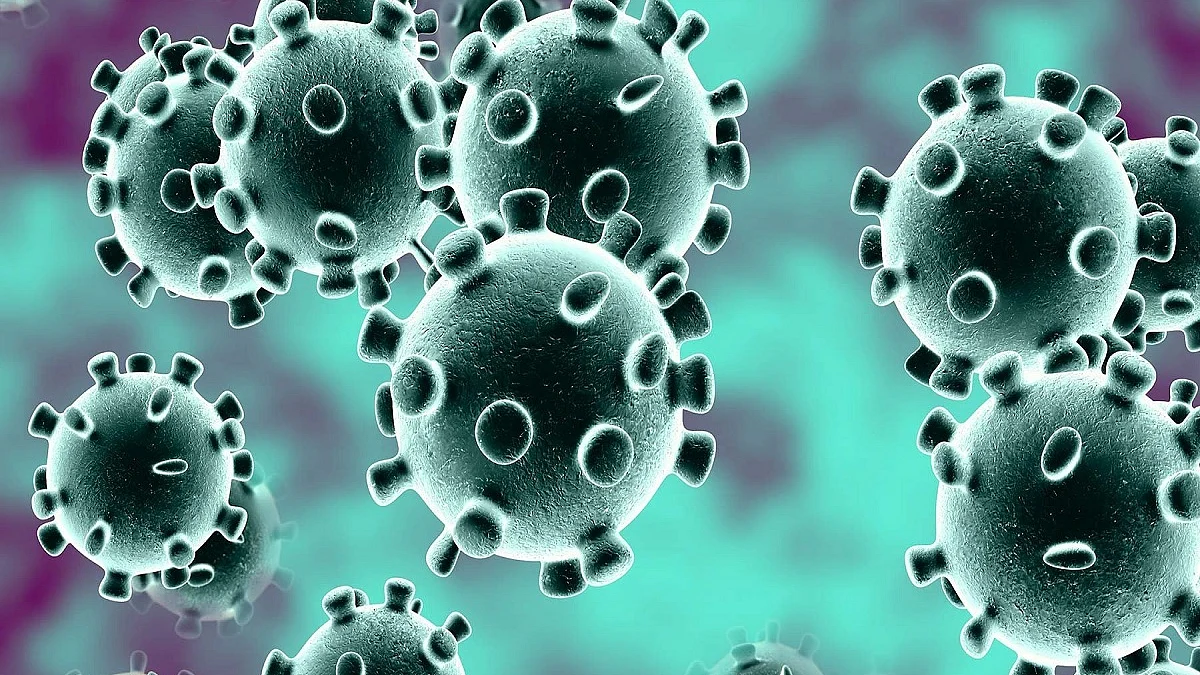 COVID-19 antibodies provide lasting immunity: Study