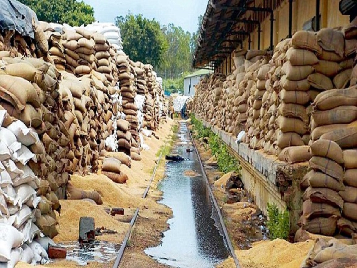1,571 tonnes of food grains wasted between April and September due to COVID-19 lockdown