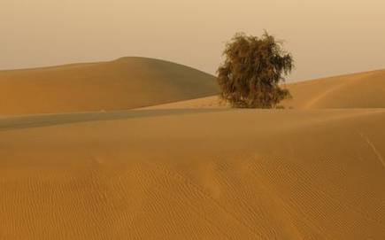 Unbelievable! ‘Lost’ river that ran through Thar Desert 172,000 years ago found