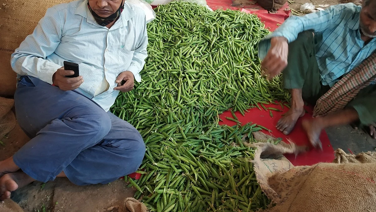 India’s September WPI rises on high food prices