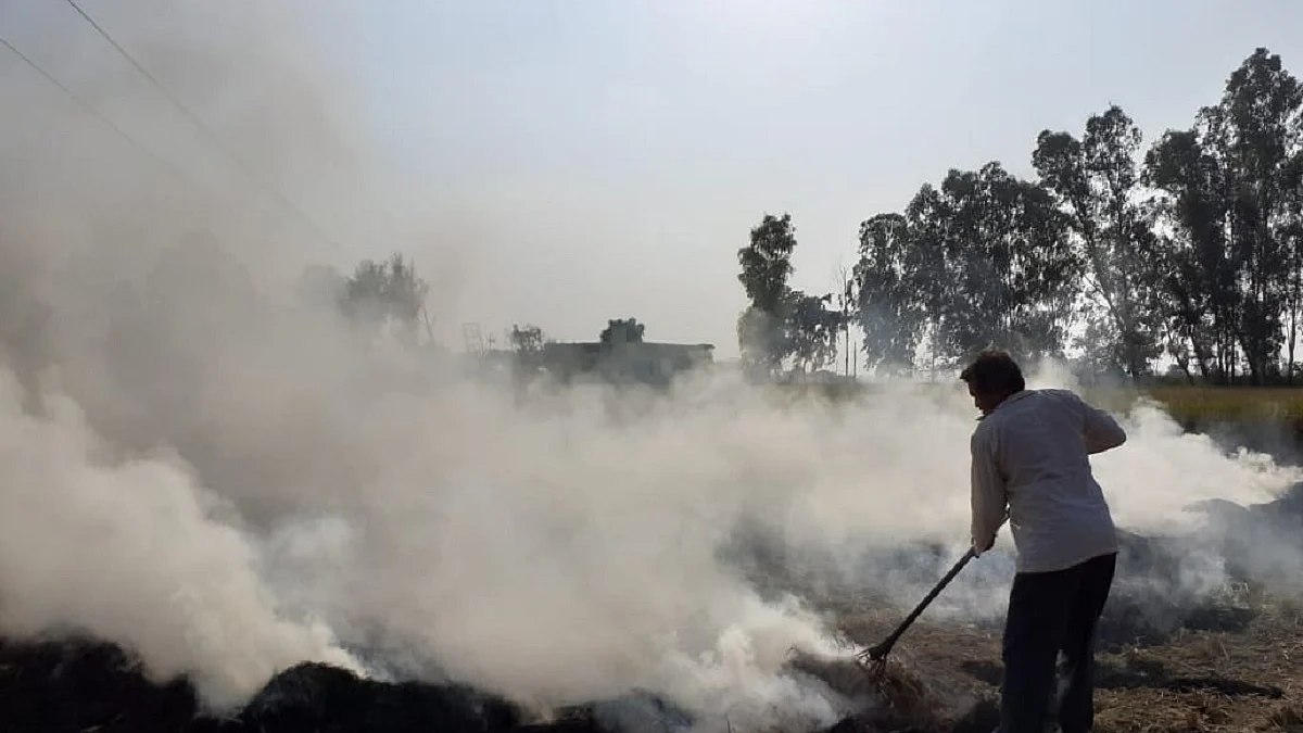 Chief Justice Bobde: Will smoke from stubble burning kill Coronavirus?