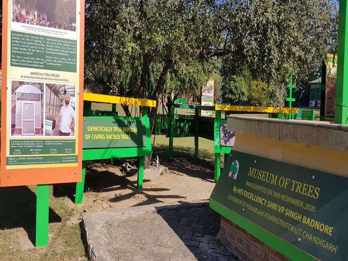 Chandigarh to get another landmark -- Museum of Trees