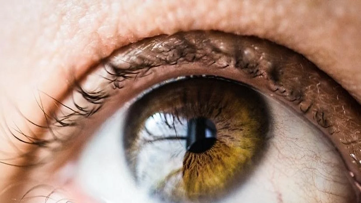 People with eye disease, diabetes at 5-fold risk of severe COVID-19: Study