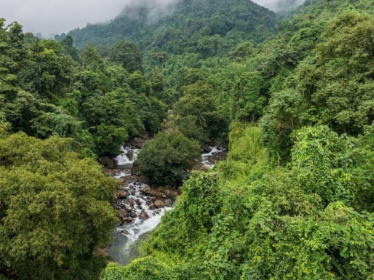 22 Miyawaki forests spots launched by Kerala Tourism