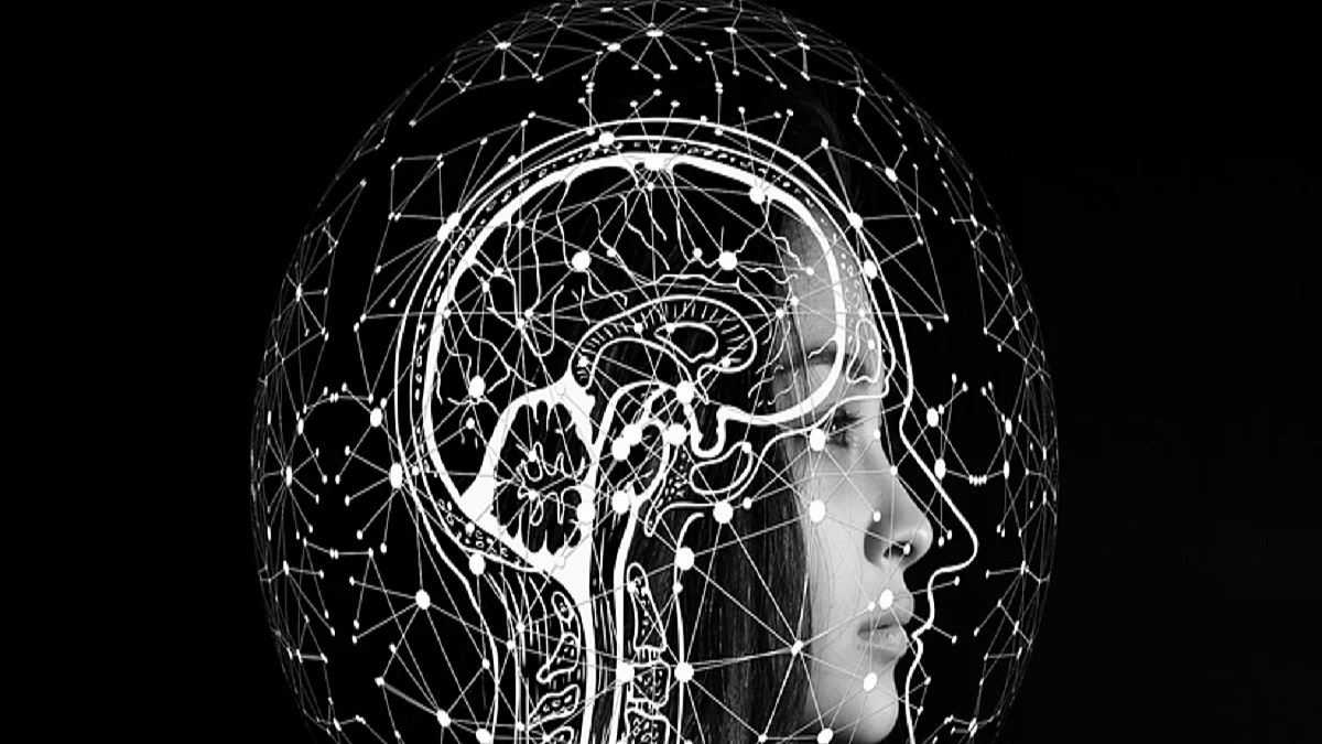 Brain cell that can help track distance discovered