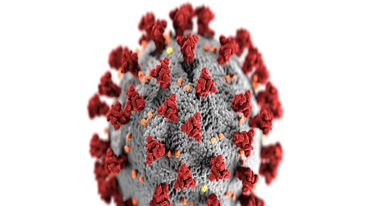 COVID-19 antibodies may fade very quickly: Study