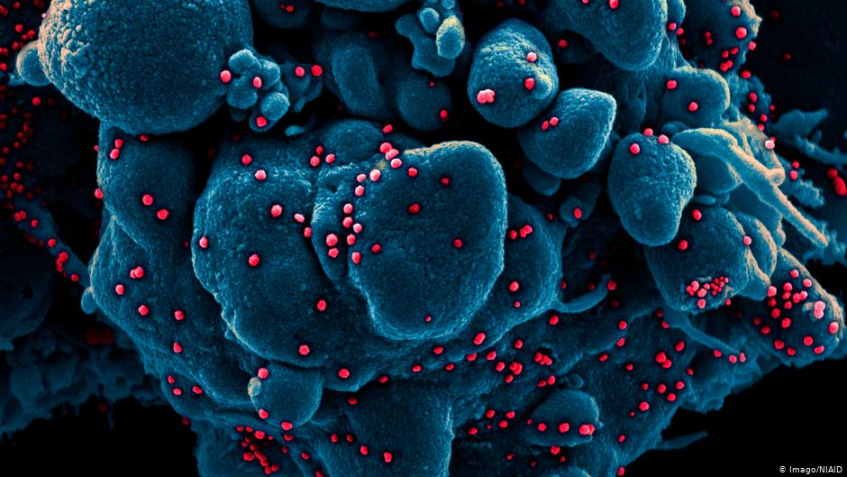 New Covid variant, C.1.2, may be more infectious, evade vaccine protection: Study