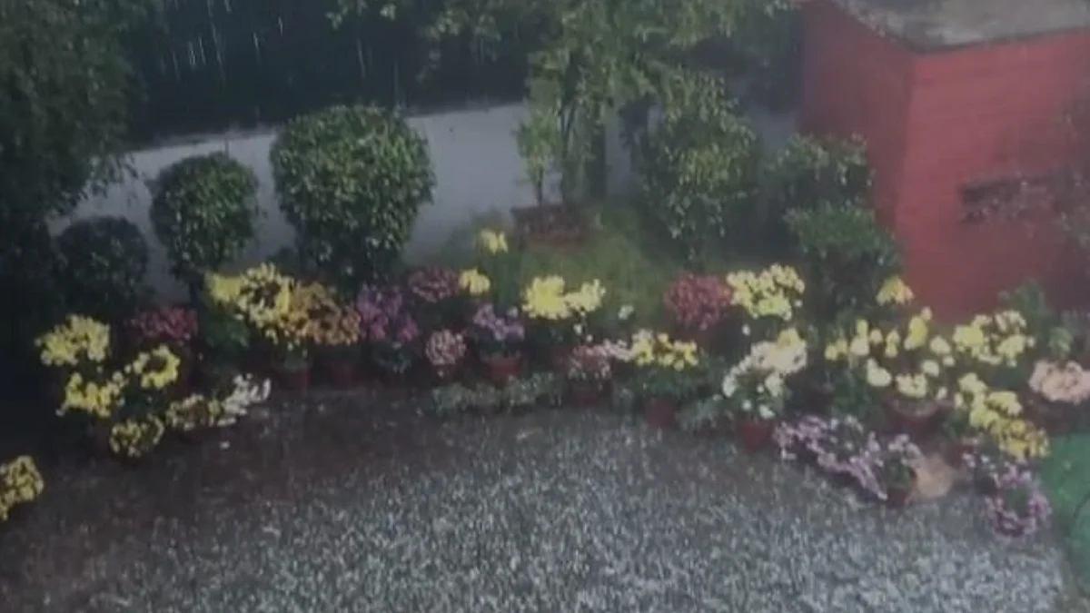 Rain, hailstorm lash parts of Delhi