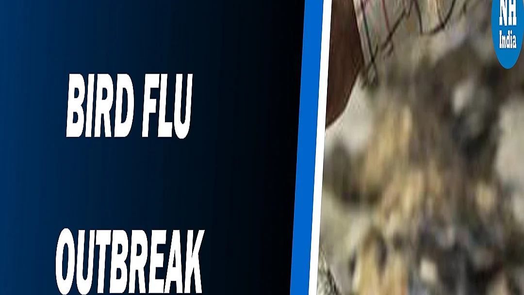Bird Flu outbreak across India: Several states on alert