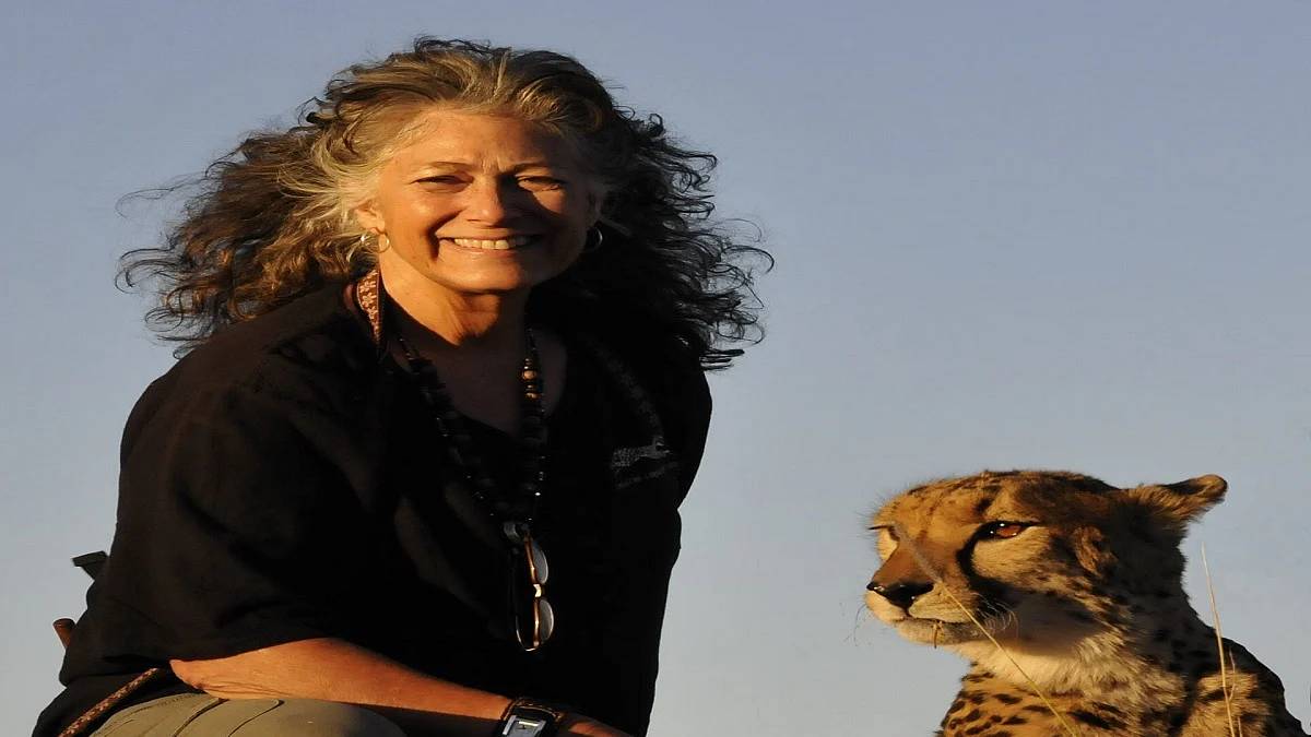 Exciting to think of India as having cheetahs again: Dr Laurie Marker, founder, Cheetah Conservation Fund