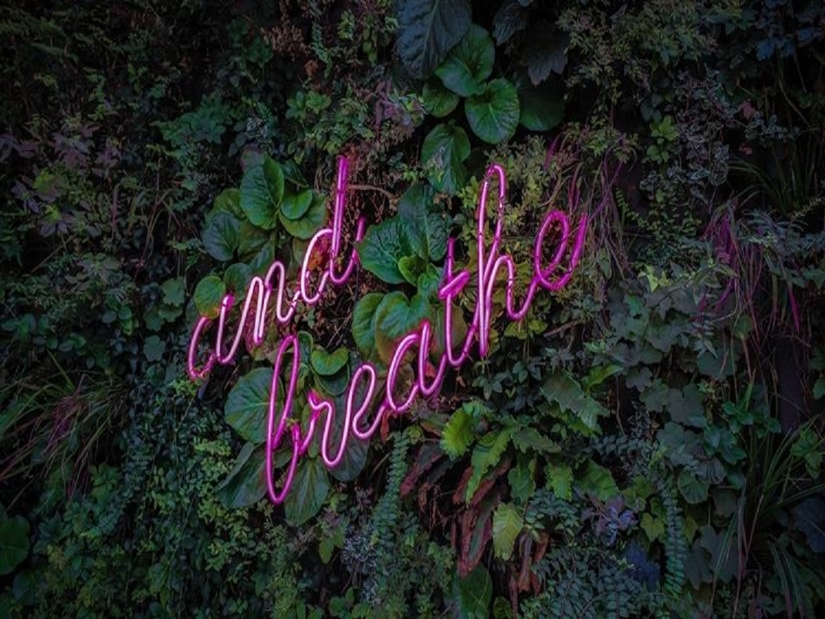 Effective hacks to healthy breathing