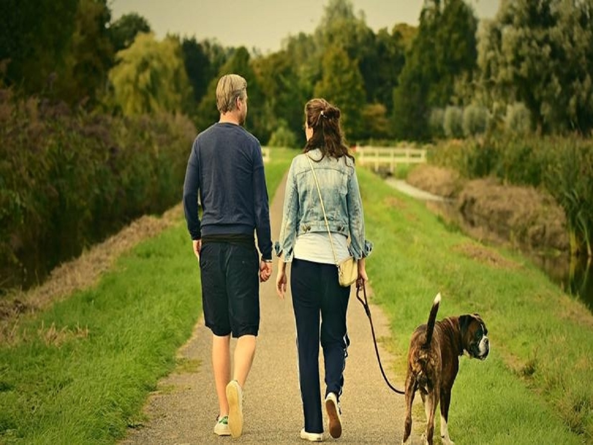 Just became pet parents? Read on to learn how to get it right