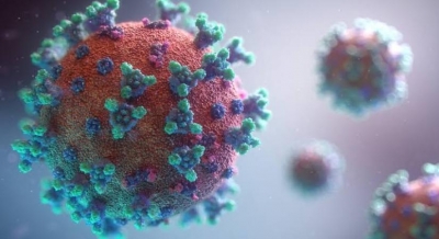 Novel Covid variants spreading more in some states: CCMB study