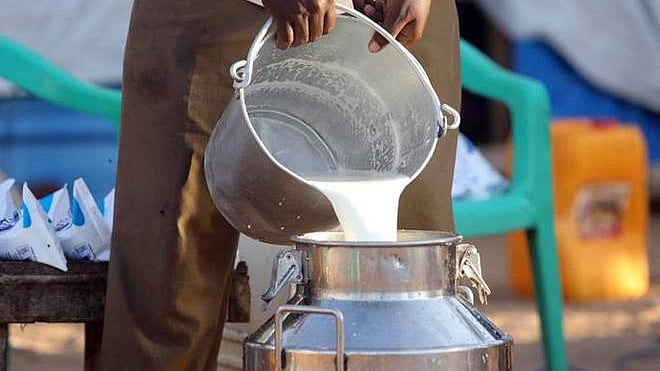 Farmers in 3 Uttar Pradesh villages stop milk supply in solidarity with  farmers&#039; movement
