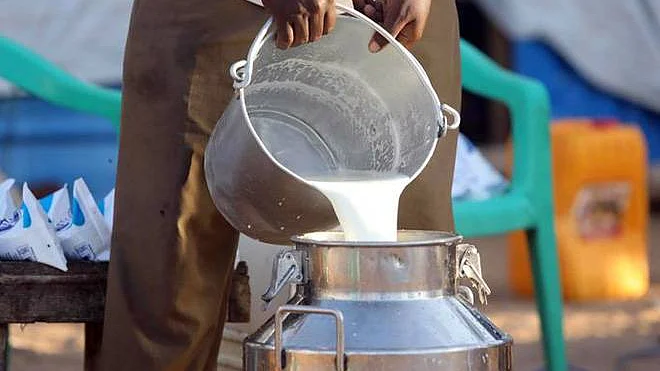 Farmers in 3 Uttar Pradesh villages stop milk supply in solidarity with farmers’ movement