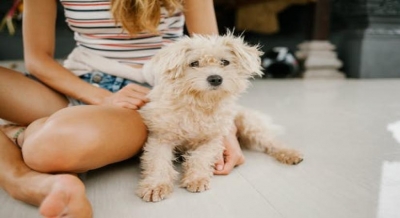 Pets eased children’s loneliness in lockdown: Study