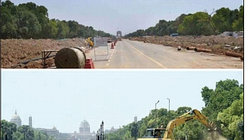 Trees in the central vista: Jamun trees travel from Rajpath to Badarpur