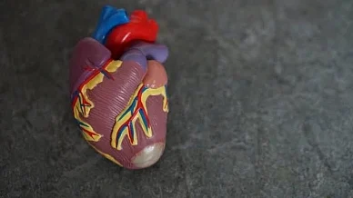 Post-Covid cardiac care is important: Doctor